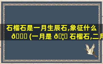 石榴石是一月生辰石,象征什么 🍀 (一月是 🦉 石榴石,二月是紫晶,三月是海蓝宝石)